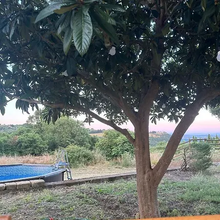 Pian Del Leccione
